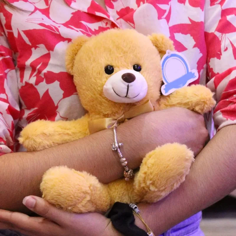 peluches43